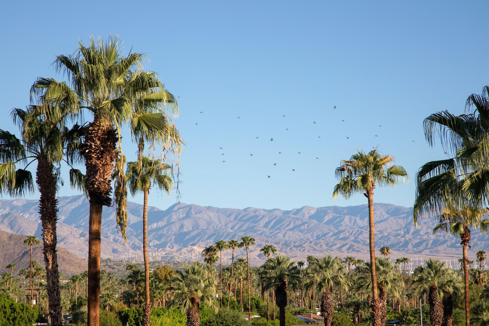 The Saguaro Palm Springs Hotel Exterior photo